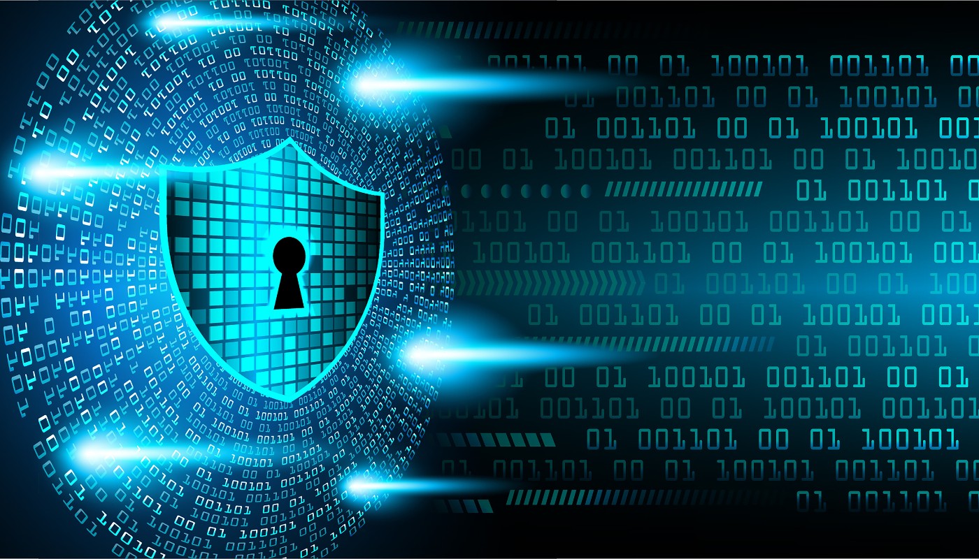 Information Technology Systems